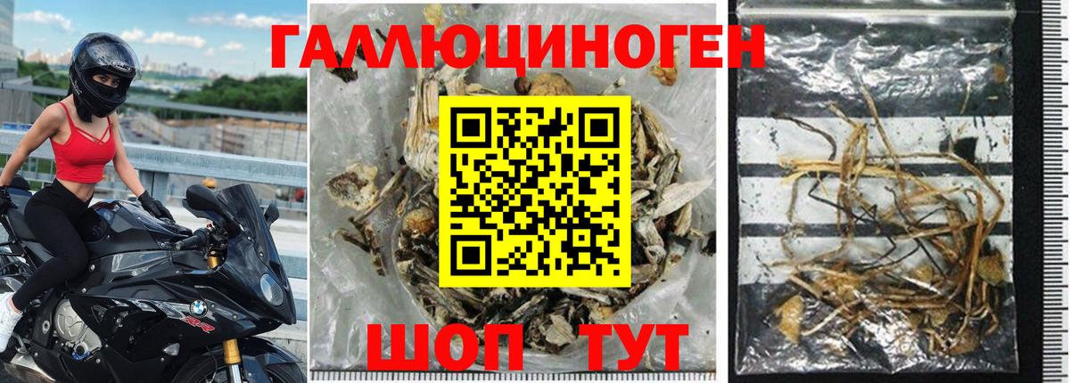 что такое наркотик  Вход с VPN  Аргун  Псилоцибиновые грибы Cubensis 